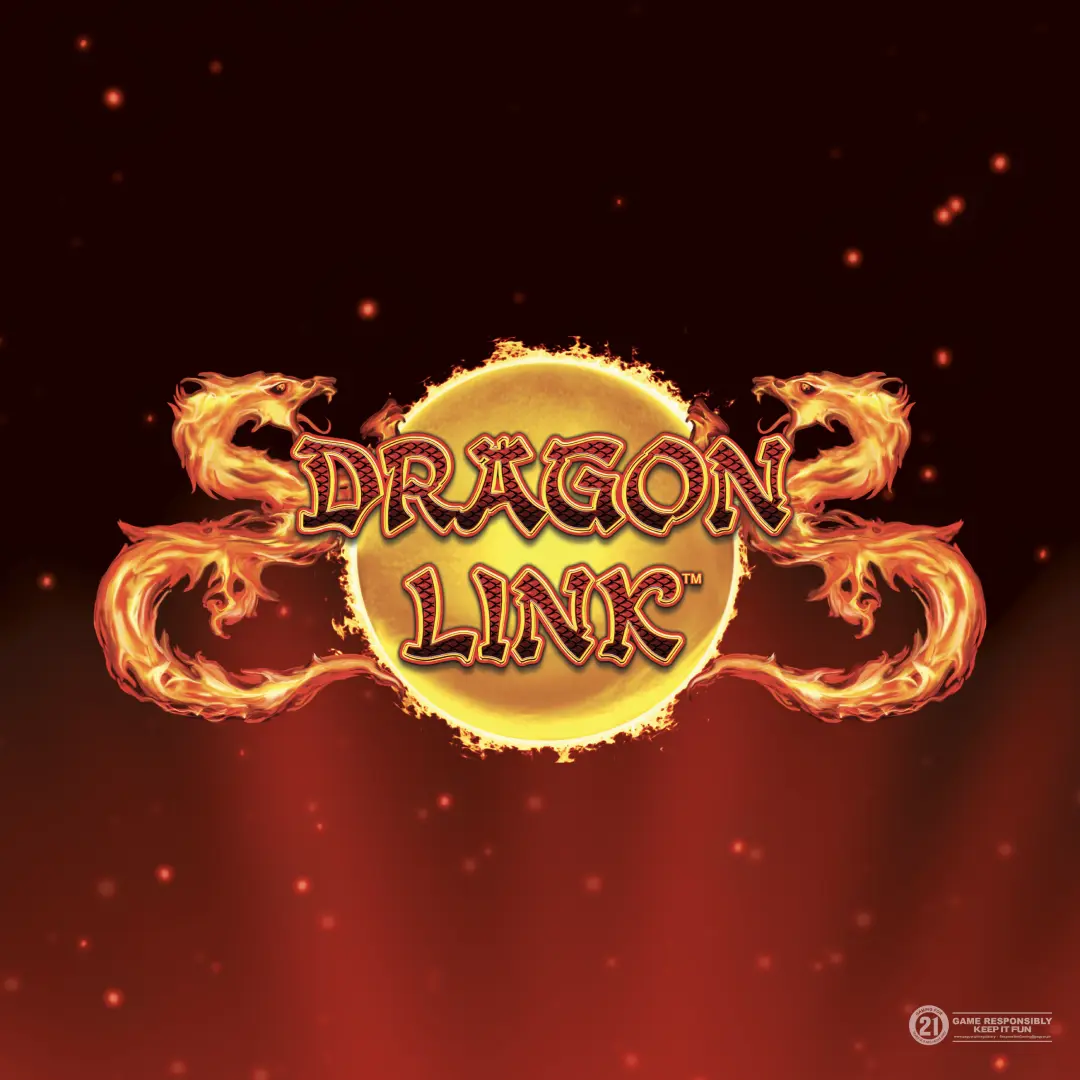 Dragon Link